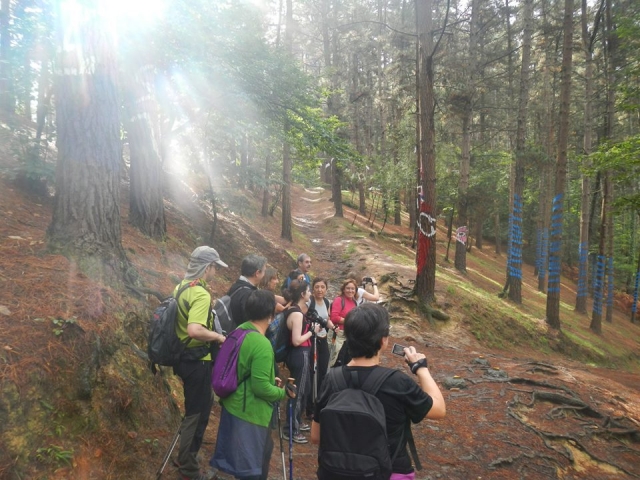 en el bosque